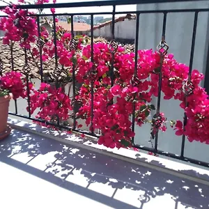 Casa Magnolia Boutique Türkei